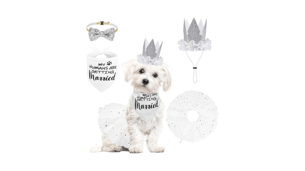 Scenereal Dog Wedding Outfit Dress With Bandana Bowite Collar And