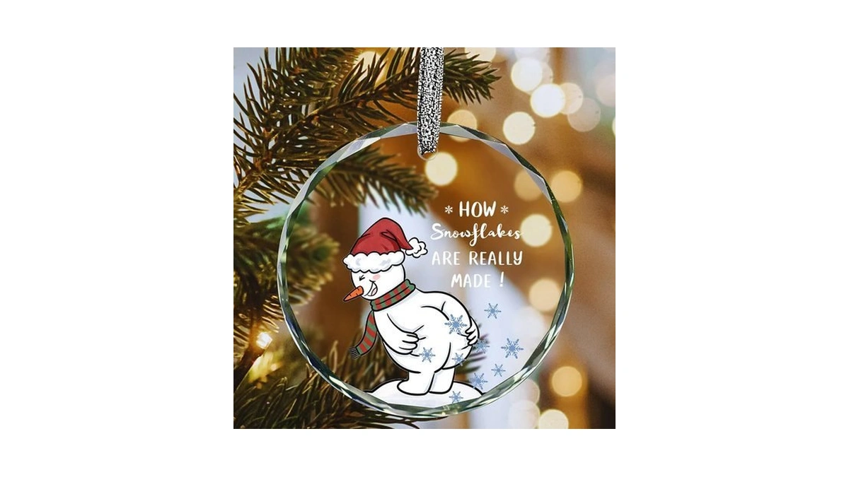 Funny Christmas Ornaments 2025,white Elephant Gifts,stocking Stuffers For Men Women,gag