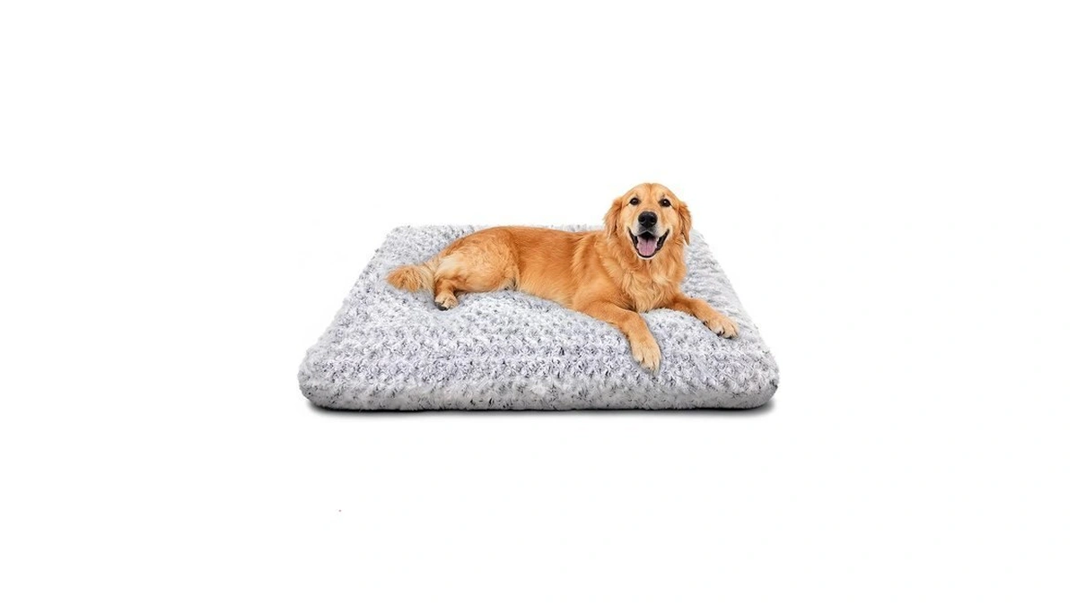 Dog Beds Large Sized Dog, Washable Durable Pet Bed, Deluxe
