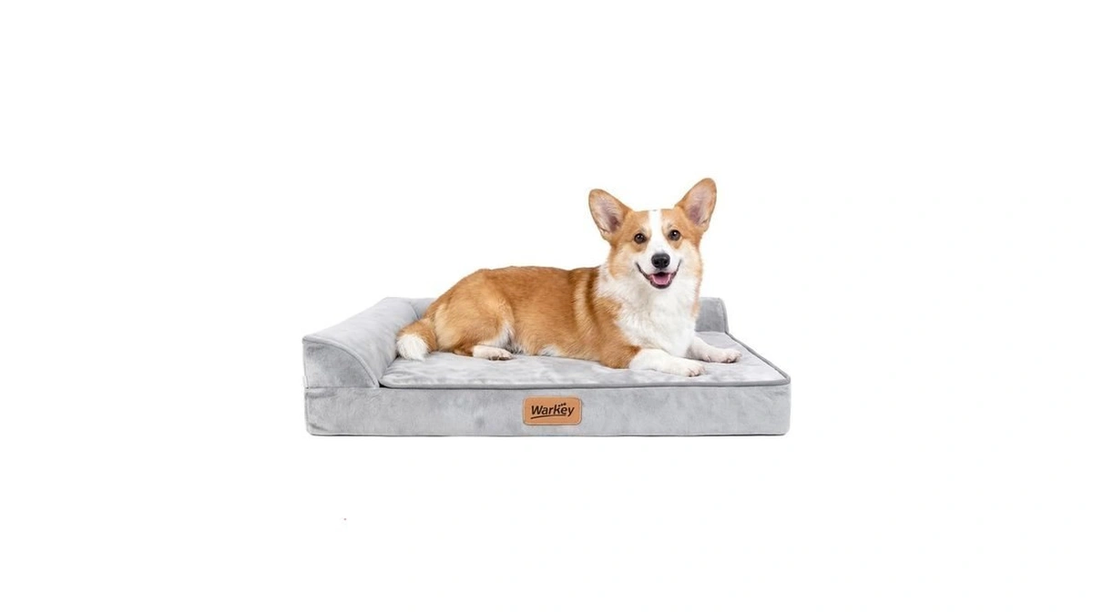 Dog Bed Medium Size Dog, Orthopedic Dog Bed For Medium