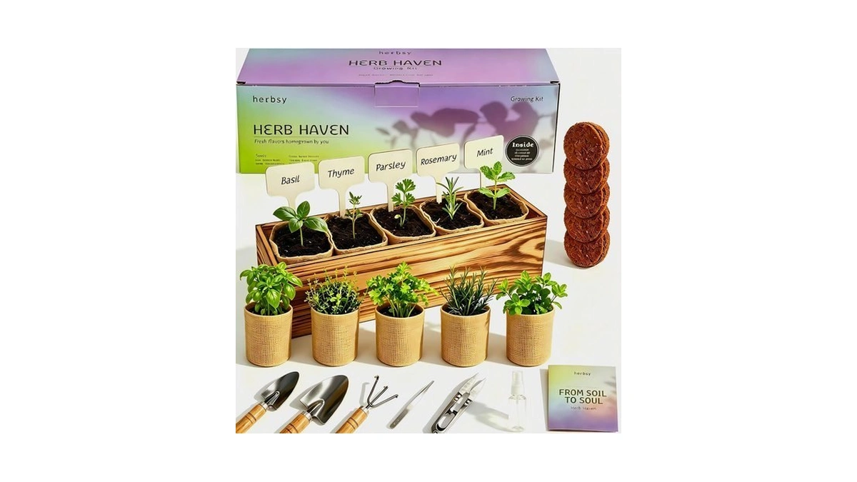 5 Herb Garden Kit With Wooden Box – Basil, Thyme,