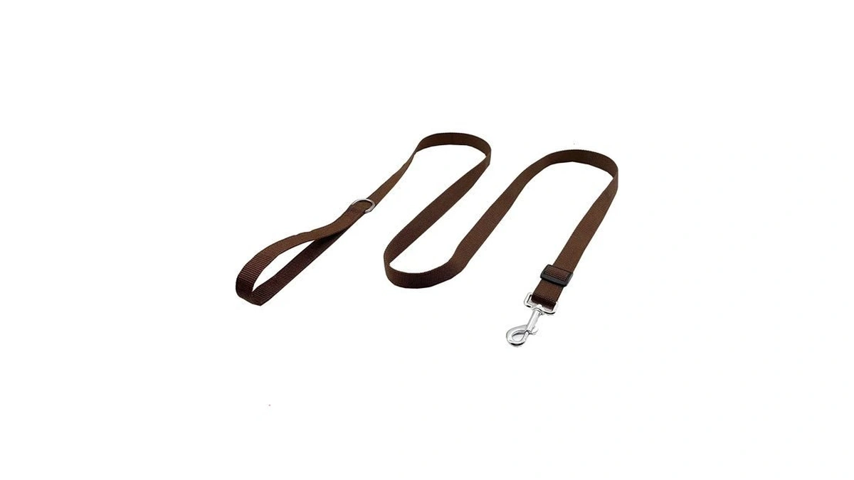 Taian Adjustable Nylon Dog Leash, 6ft/10 Ft Long Dog Leashes