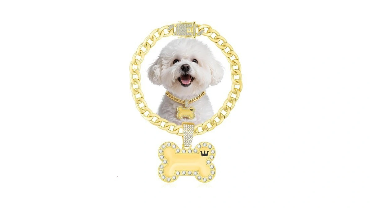 Kynox Cuban Gold Link Heavy Duty Necklace Dog Cat Collar