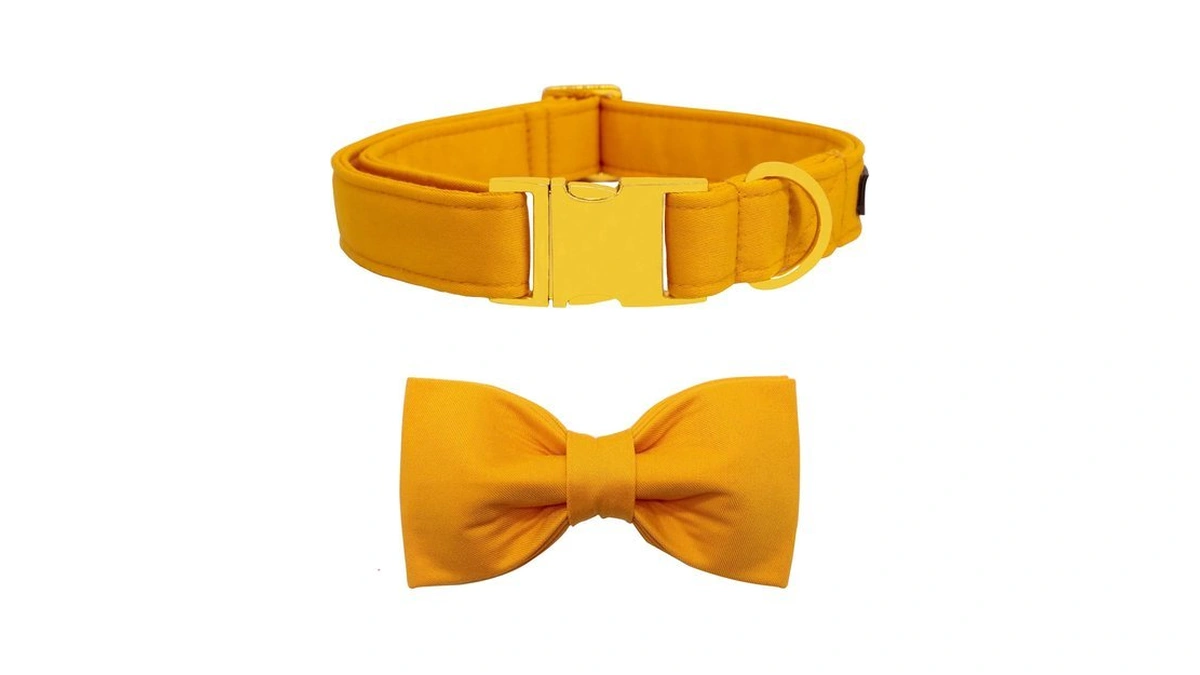 Maca Bates Mango Yellow Dog Collar With Bow Tie For