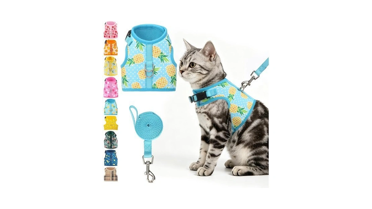 Bingpet Cat Harness And Leash Set, Escape Proof And Adjustable,