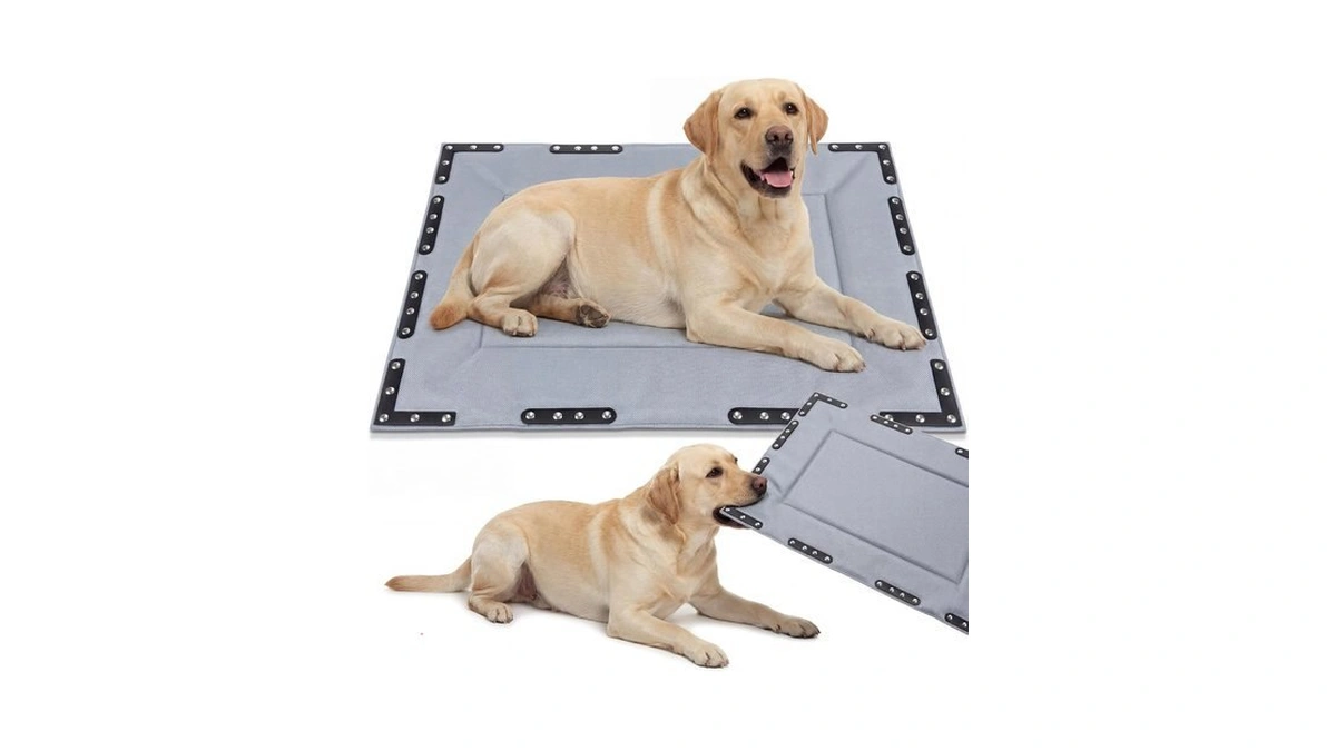 Colingmill Chew Proof Indestructible Dog Crate Bed, Gray, 41” X