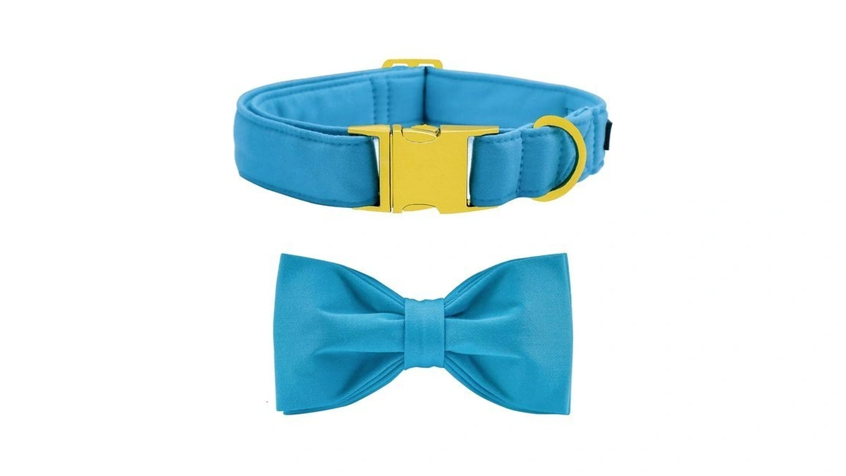 Maca Bates Sky Blue Dog Collar With Bow Tie For