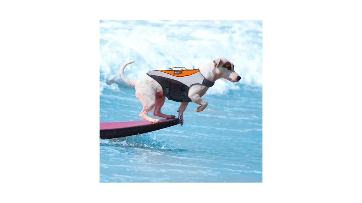 Kisfly Small Dog Life Jacket Xs, Swimming Vest With Rescue