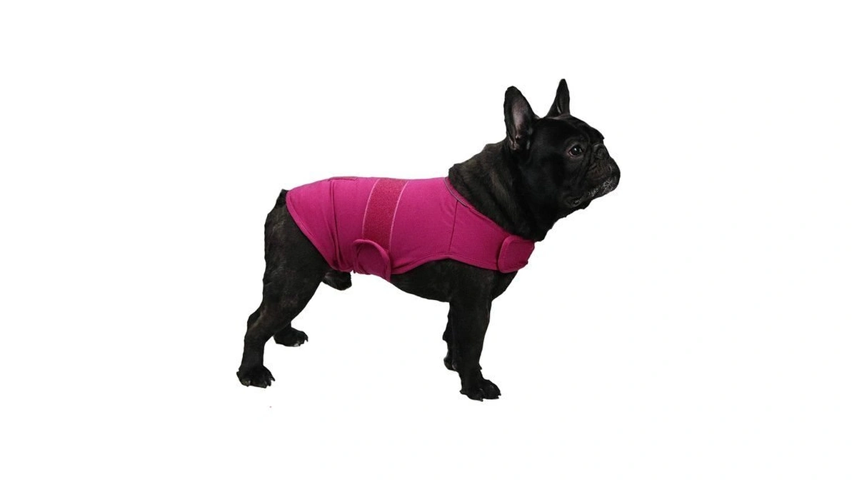 Cattamao Comfort Dog Anxiety Relief Coat, Dog Anxiety Calming Vest