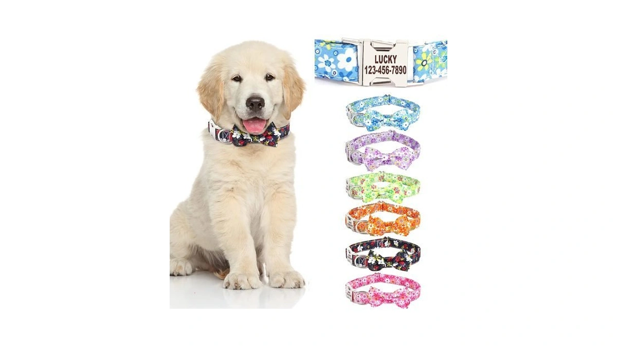 Personalized Dog Collars With Bowtie For Female Dogs,cute Custom Dog