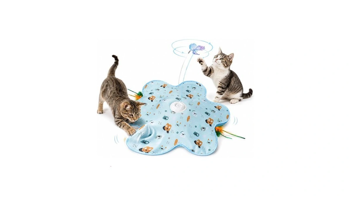Interactive Cat Toys, Automatic Hide And Seek Feather Toy For