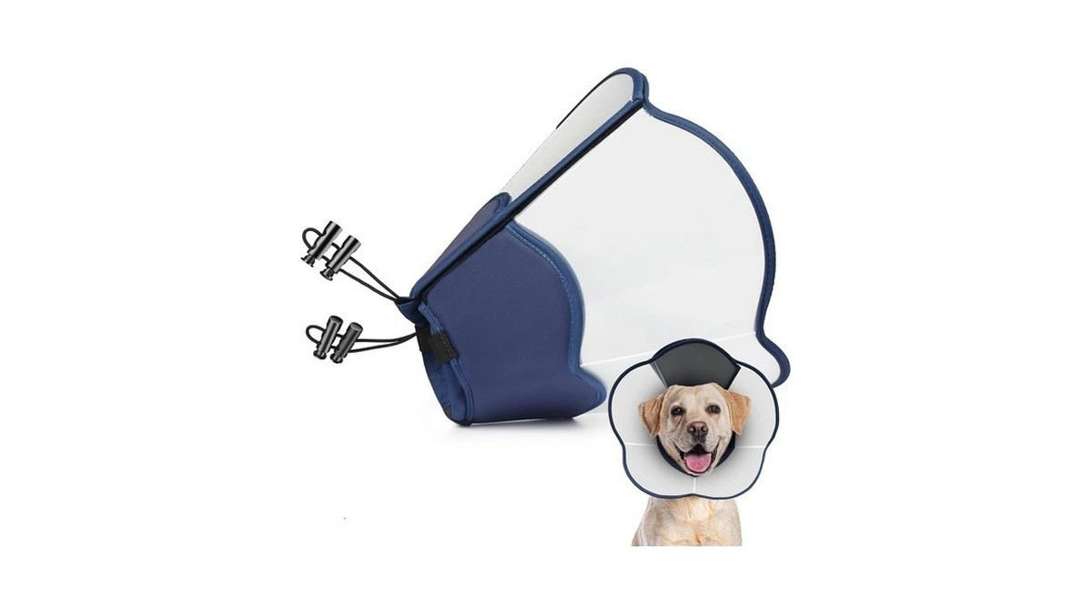 Hard & Heavy Plastic Dog Cone Collar Alternative For Lab