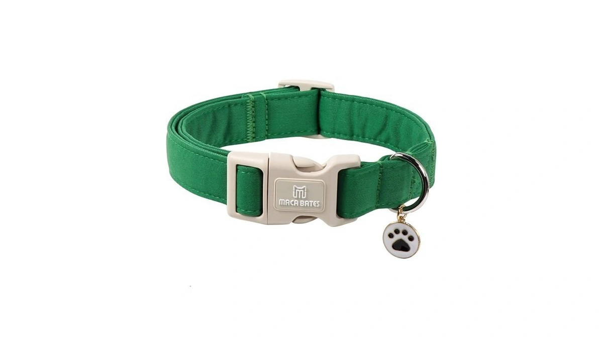 Maca Bates Green Solid Cotton Basic Dog Collar With Cute