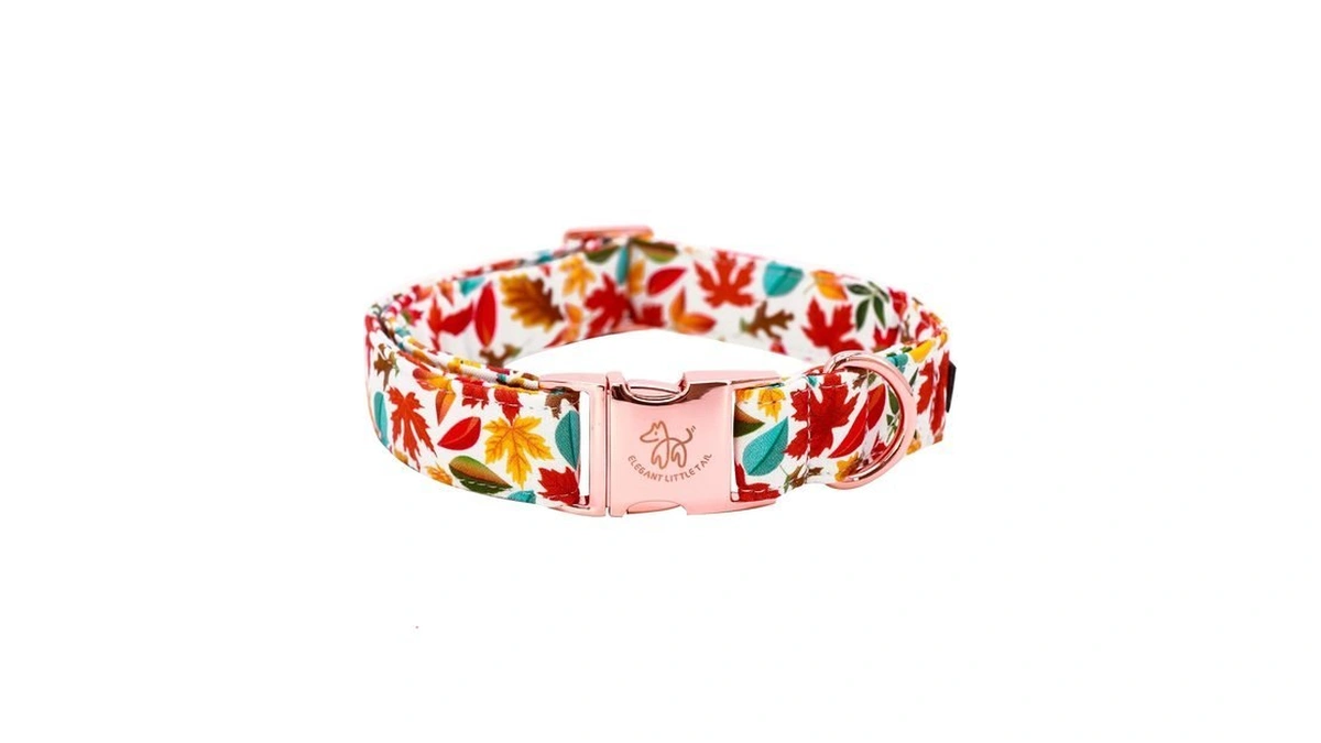 Elegant Little Tail Fall Dog Collar, Autumn Leaves Pet Collar