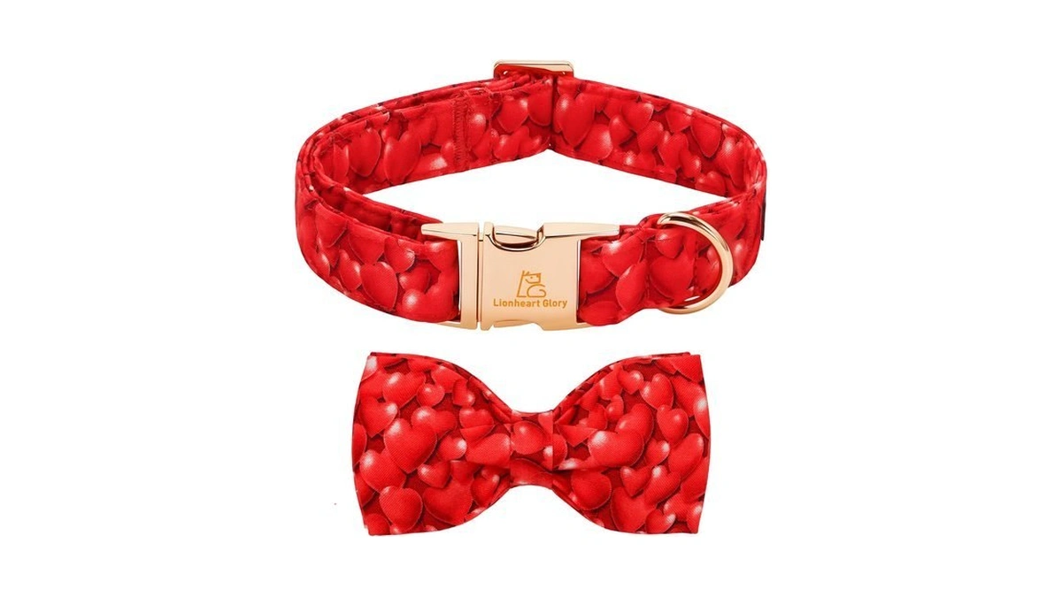 Lionheart Glory Dog Bow Collar - Valentine's Day Dog Collar