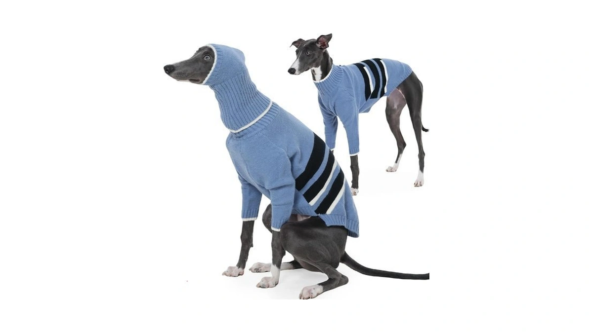Iecoii Greyhound Sweater Dog Turtleneck Sweater With Hat Set For