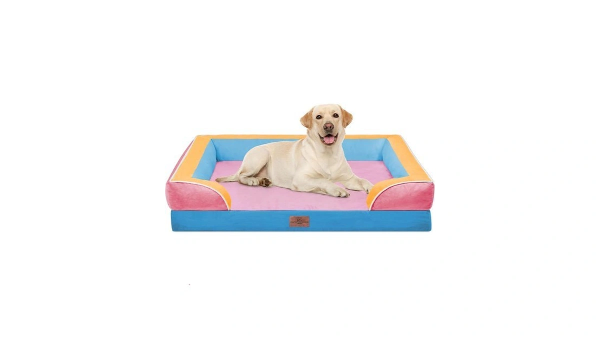 Comfort Expression Orthopedic Dog Bed For Extra Large Dogs With