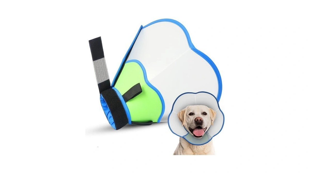 Hard & Heavy Plastic Dog Cone Collar Alternative For Lab