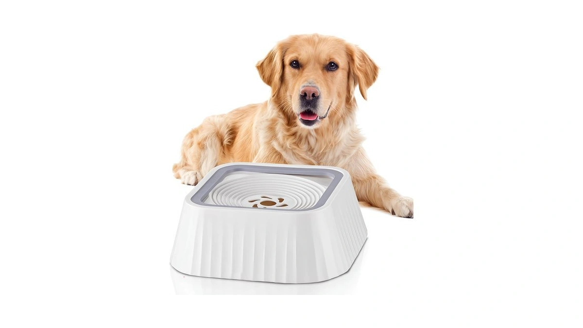 Ocean Ice Dog Water Bowl,no Spill Water Bowl For Dogs