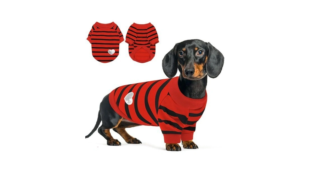 Queenmore Small Dog Shirt,soft Breathable Dog Shirt For Dogs Cats