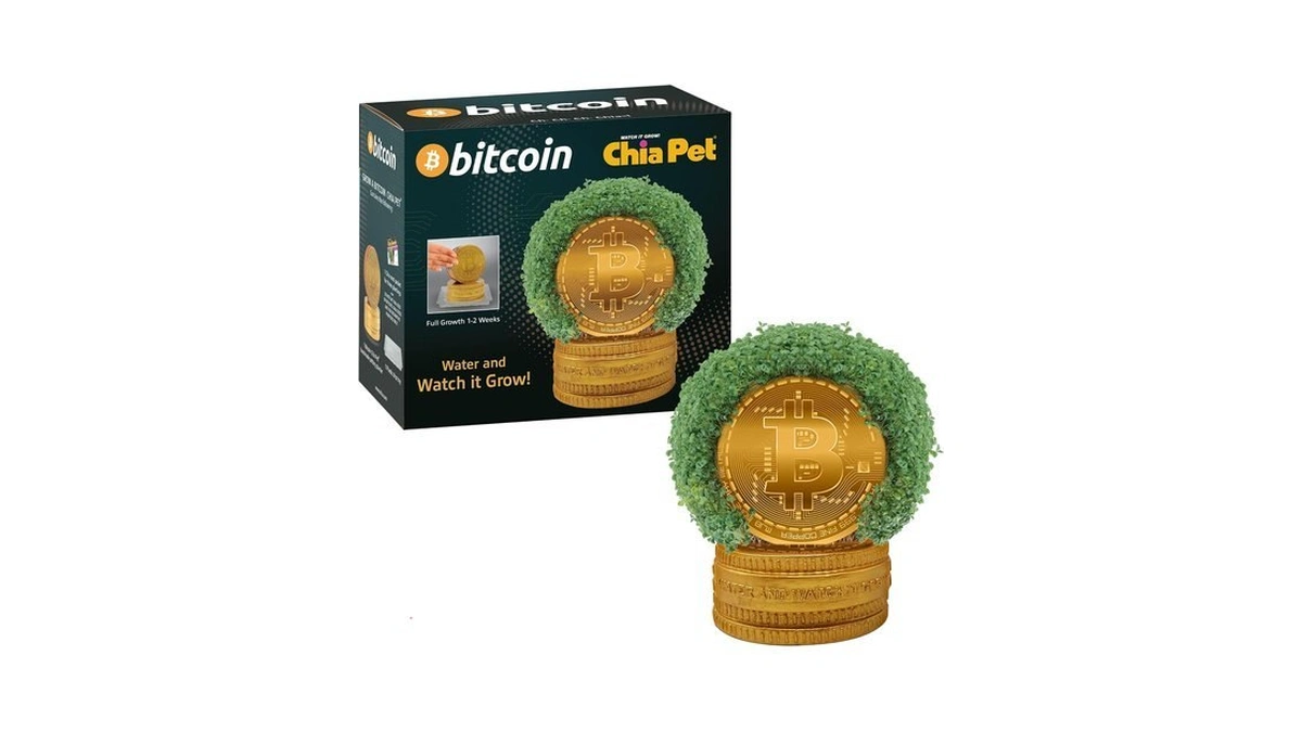 Amazon : Chia Pet Bitcoin With Seed Pack, Decorat