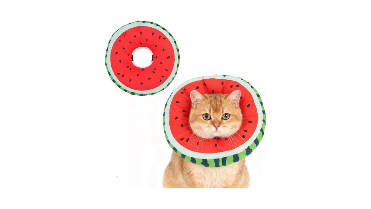 Expawlorer Cat Cone Collar Soft, Cat Recovery E Collar After
