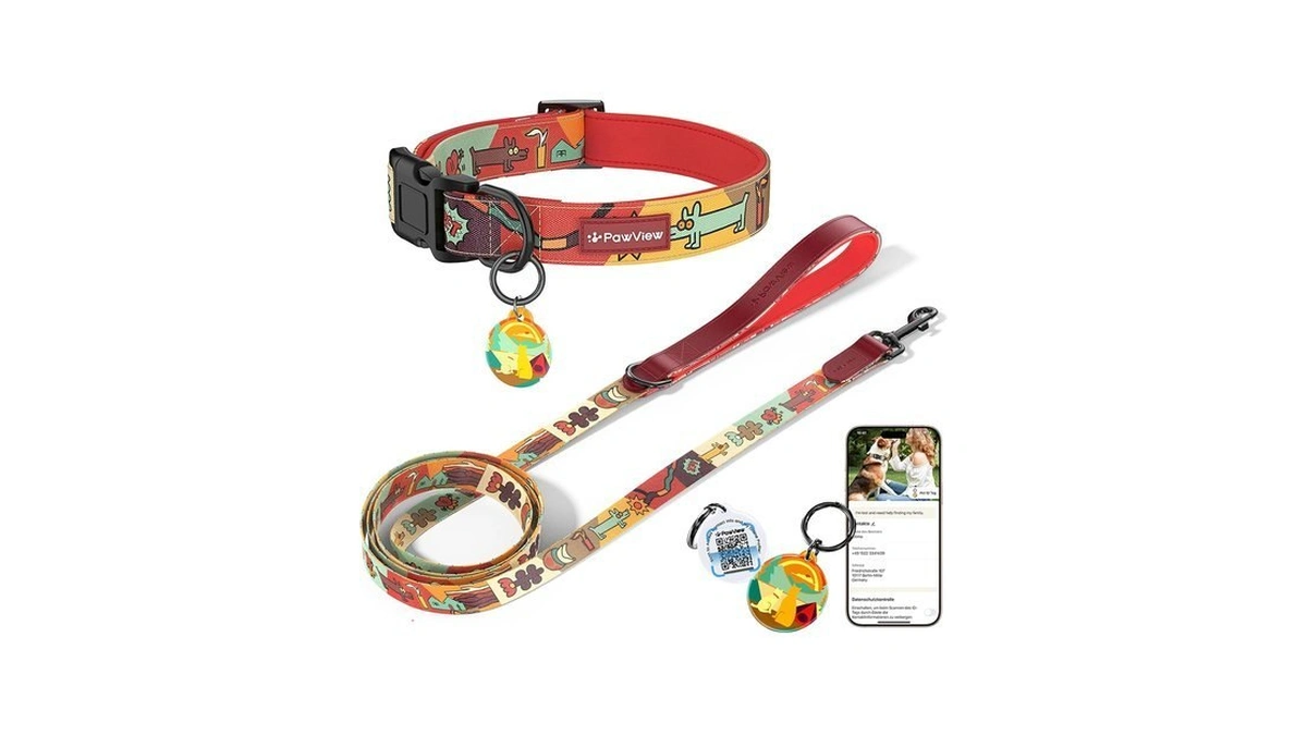 Pawview Dog Collar And Leash Set With Qr Id Tag,