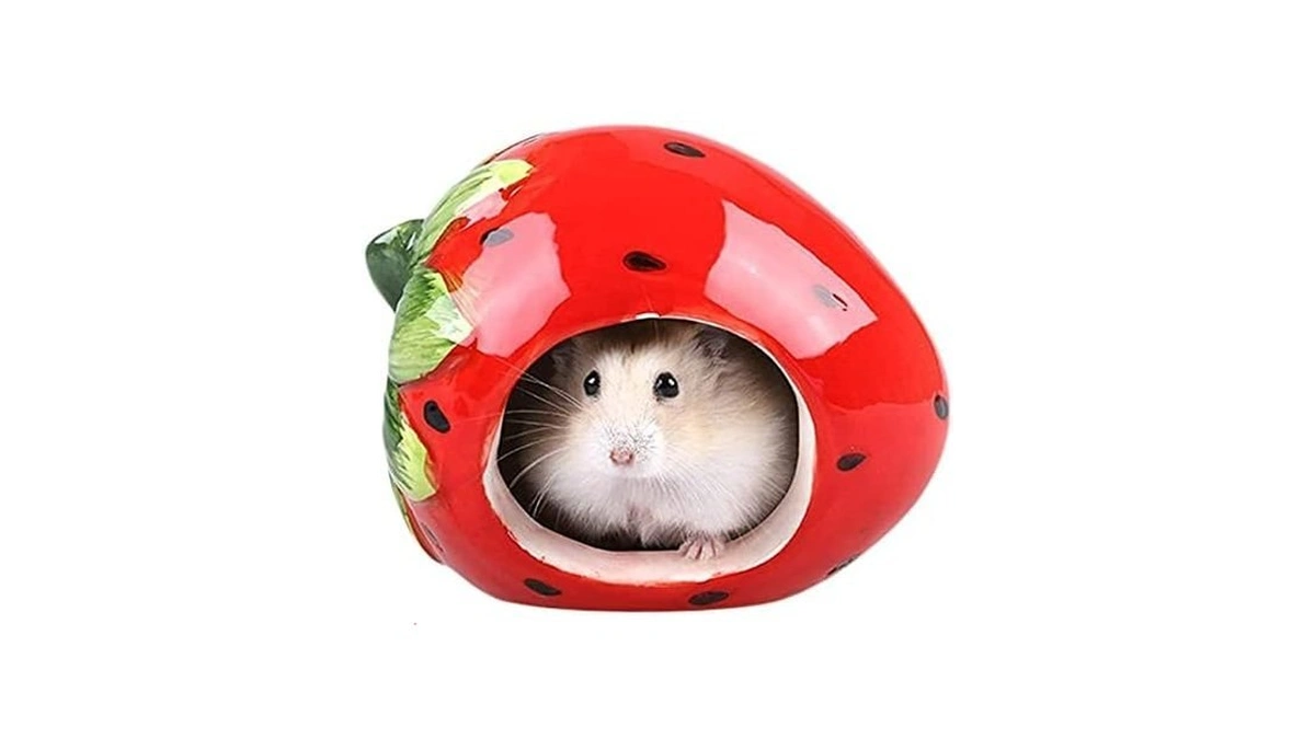 Cool Hamster House Hideout Suitable For Hamsters Less Than 4