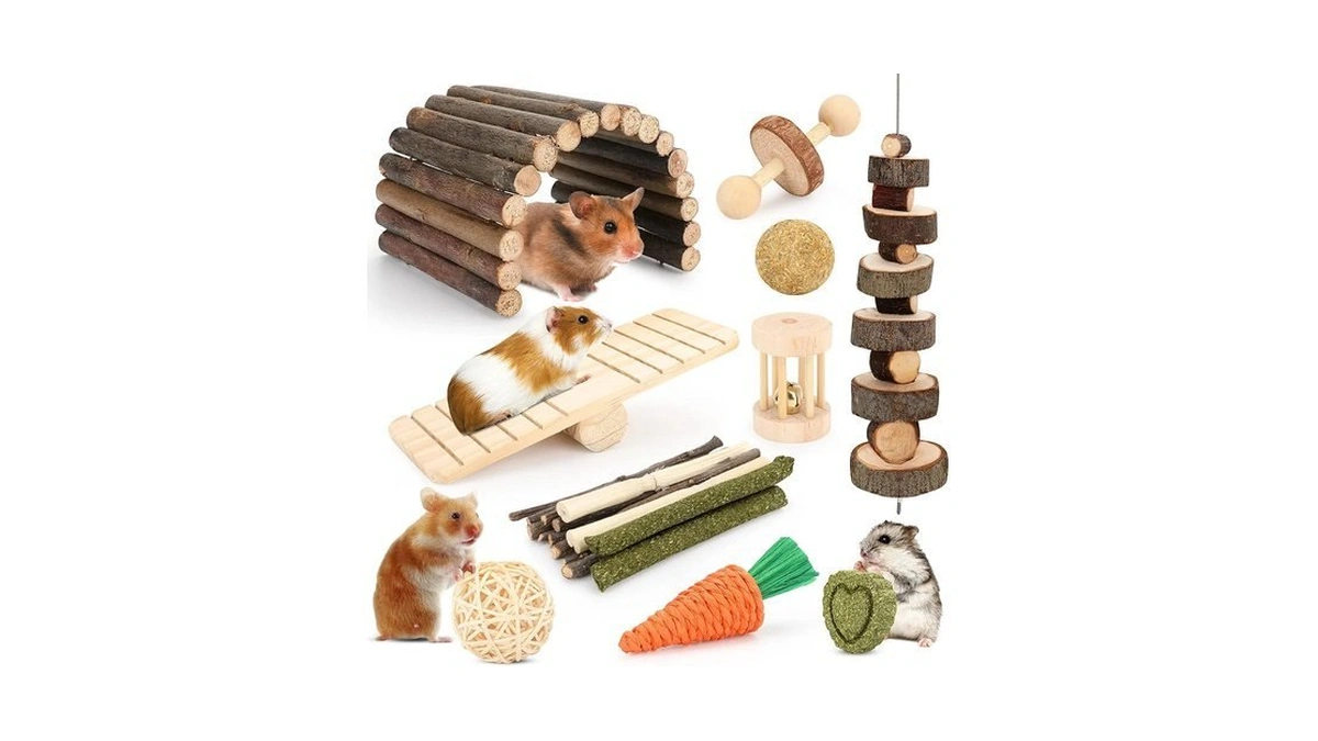 Hamster Toys Guinea Pig Toys Hamster Wheel Hamster Cage Accessories