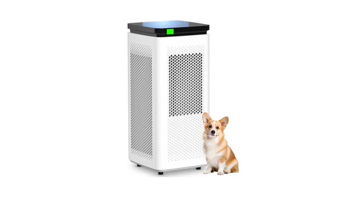Hepa Air Purifiers For Home Up To 3500 FtΒ², 235