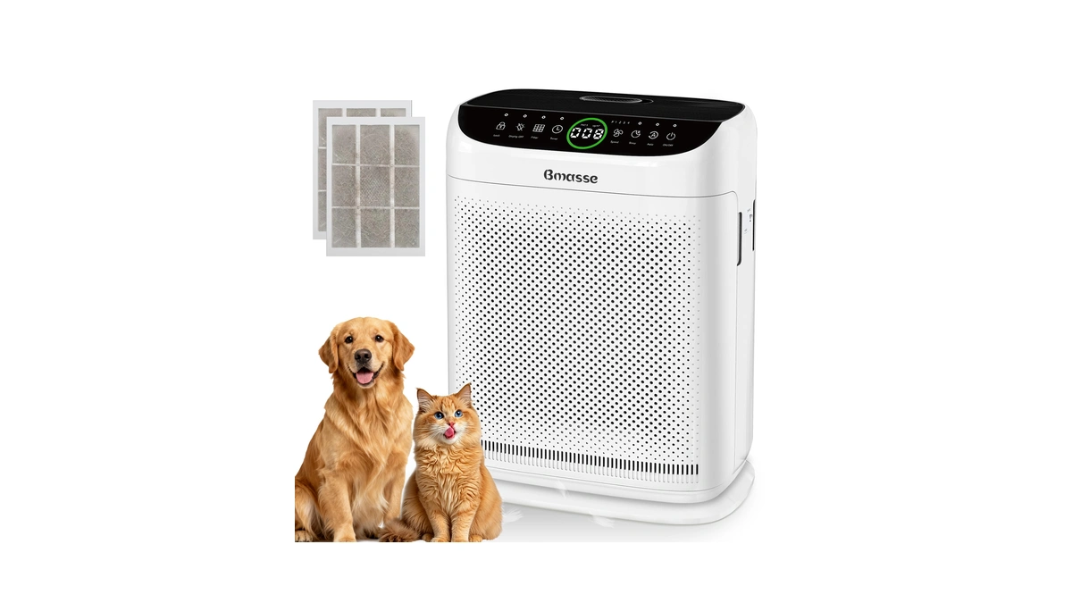 Bmasse Air Purifiers For Home Pets Large Room Up To