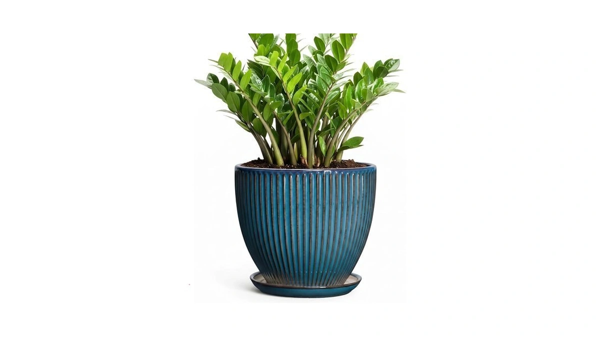 Wliror Ceramic Planter, 10 Inch Plant Pot With Saucer, Retro