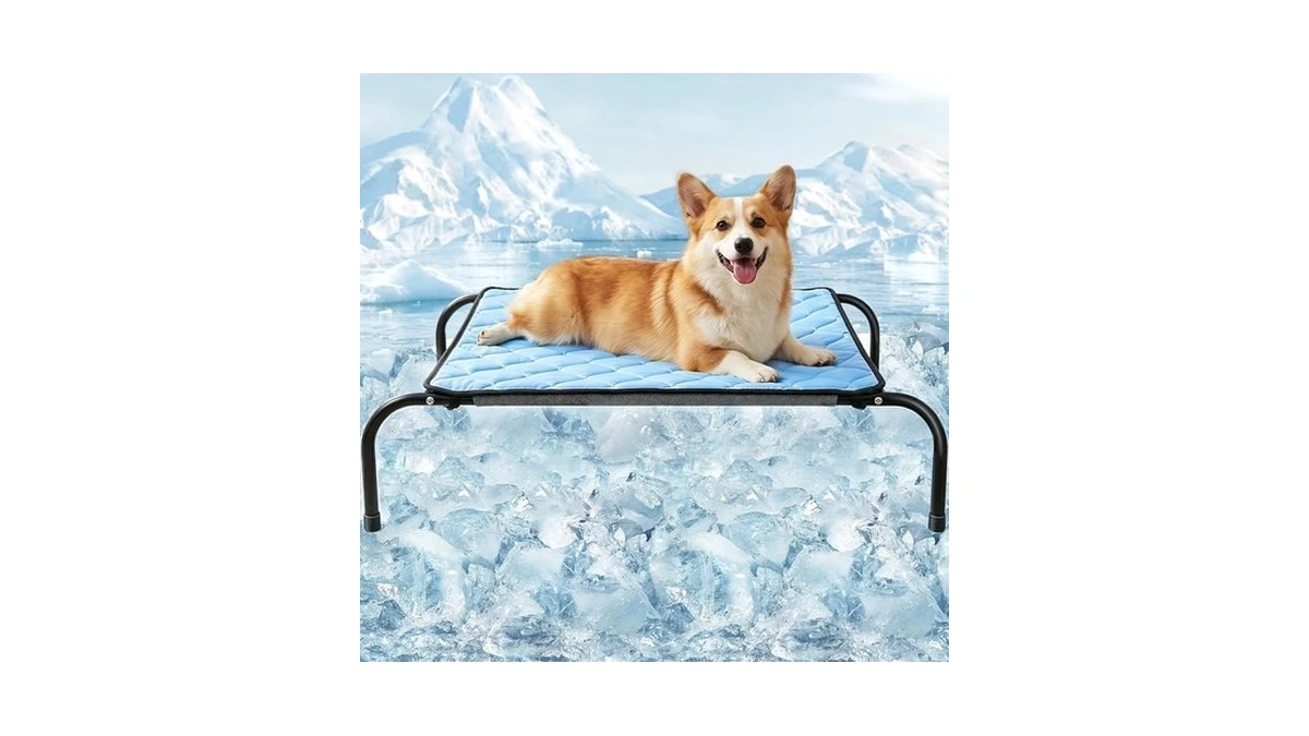 Szee Elevated Dog Bed, Cooling Dog Cot Bed, Support Up