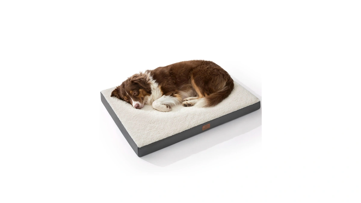 Bedsure Washable Dog Beds Large Sized Dog With Comfy Sherpa,