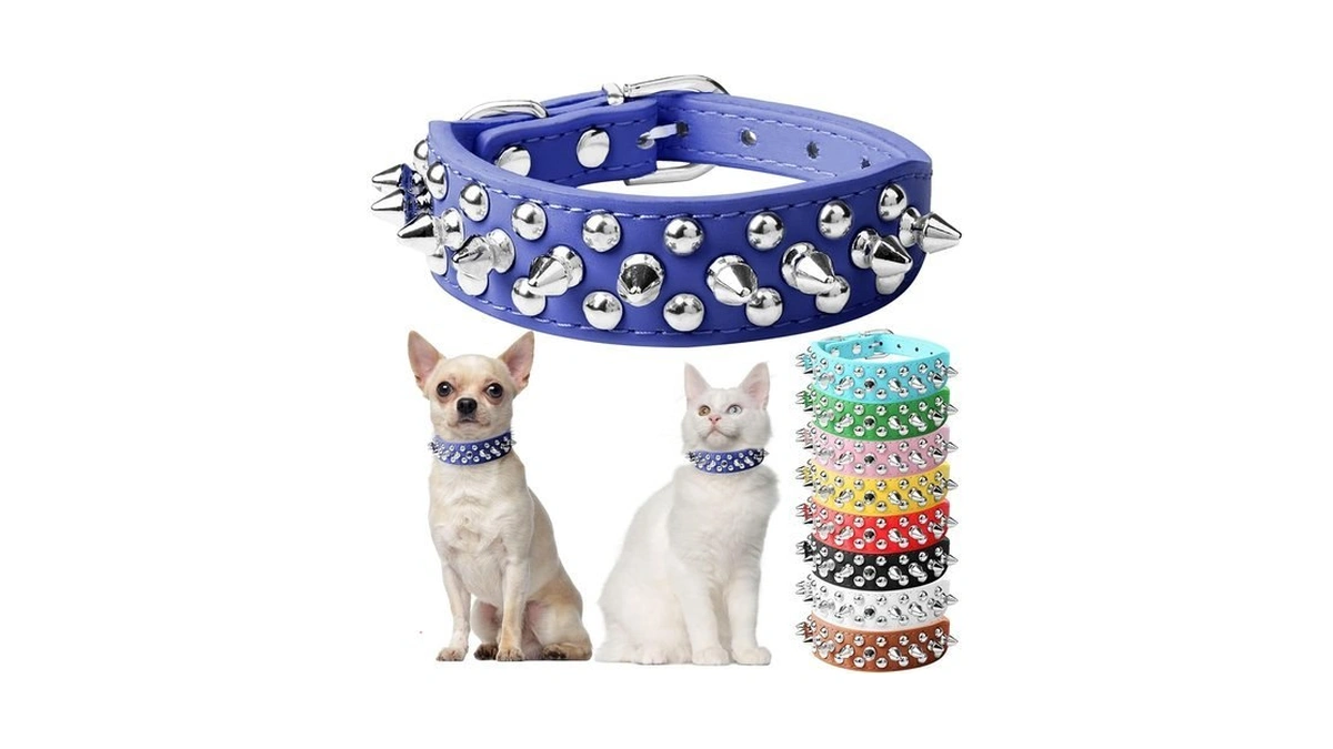 Doggyzstyle Small Spiked Blue Dog Cat Collar For Small Medium