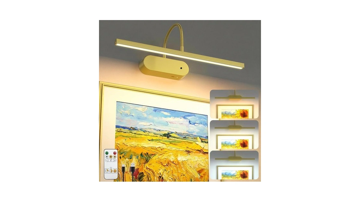 Bridika Rechargeable Picture Light For Wall Flexible Gooseneck, Gold 1