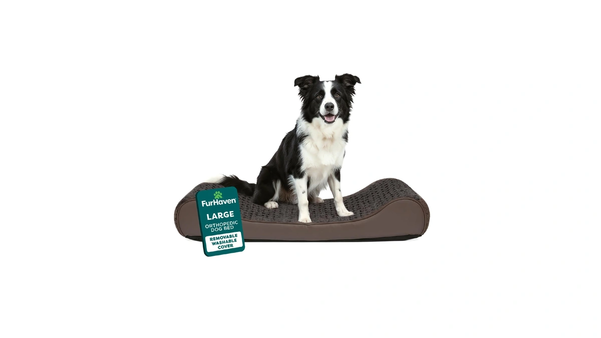 Furhaven Orthopedic Dog Bed For Large/medium Dogs W/ Removable Washable