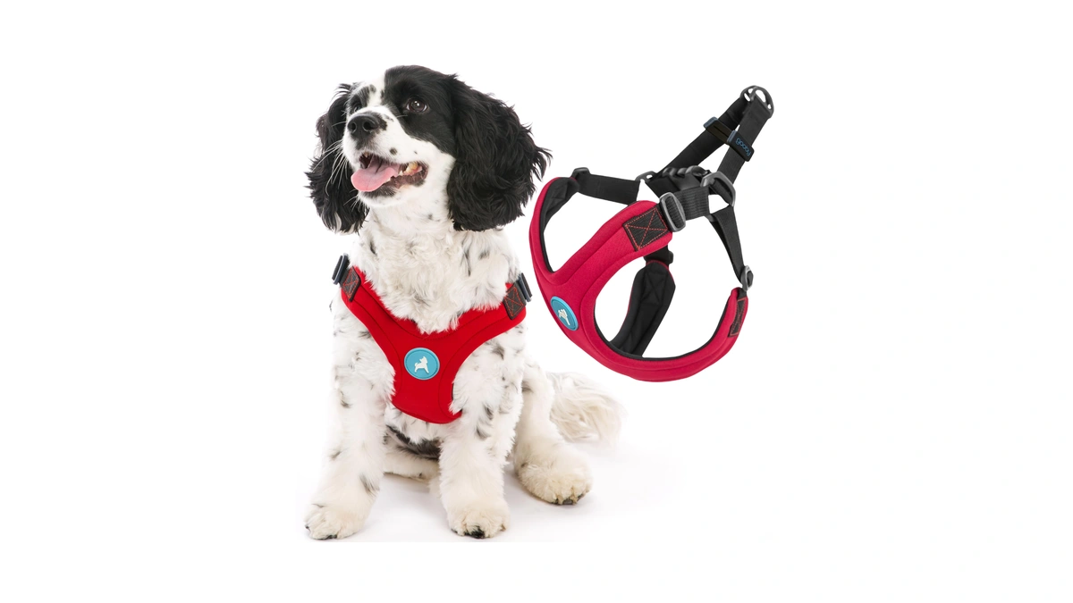 Gooby Escape Free Sport Dog Harness Choke-fre...