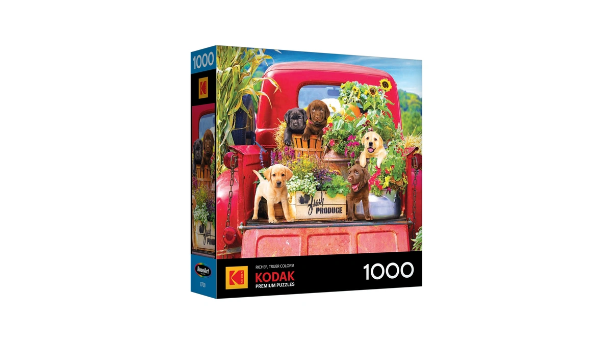 Roseart Kodak Premium Stowaways 1000 Piece Jigsaw Puzzle For Adults