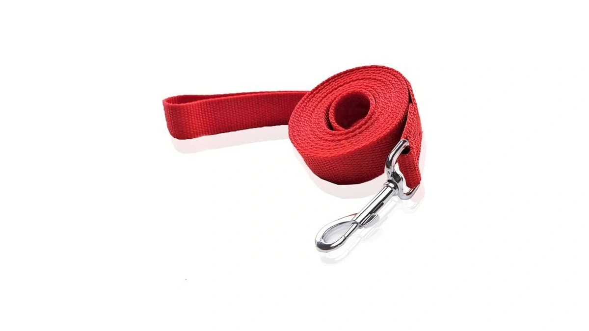 Nylon Dog Leash 10 Feet Long, Walking Training Dog Leashes