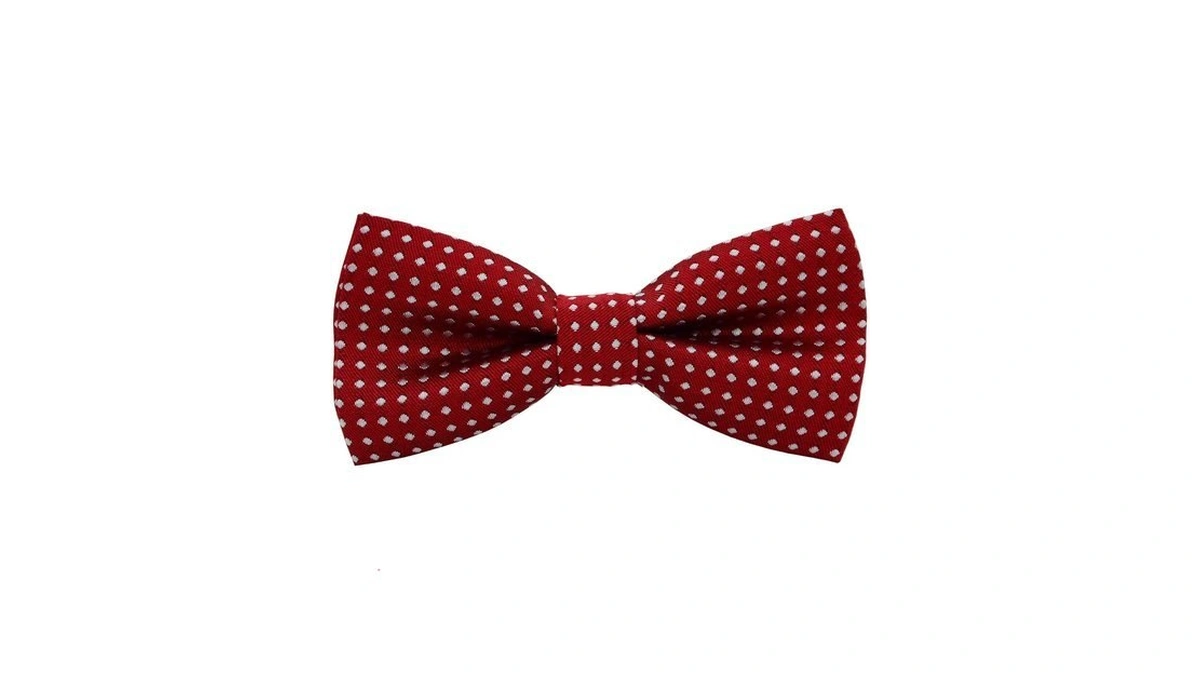Puppy & Kitten Collar Bow Tie, Small Cat & Dogs