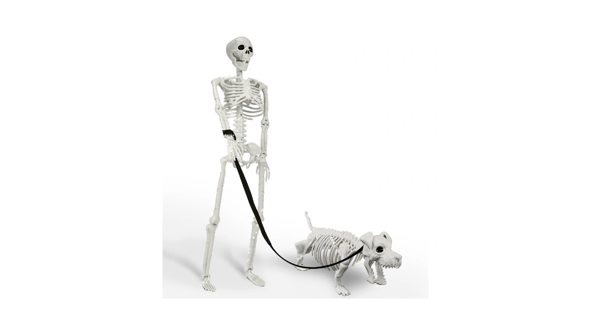 Lighted Human & Dog Skeleton Halloween Decorations Outdoor/indoor - 36