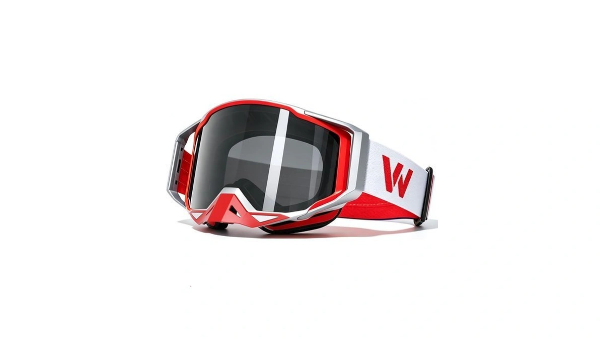 Wildheir Motorcycle/motocross Goggles-atv Dirt Bike Goggles For Men Women