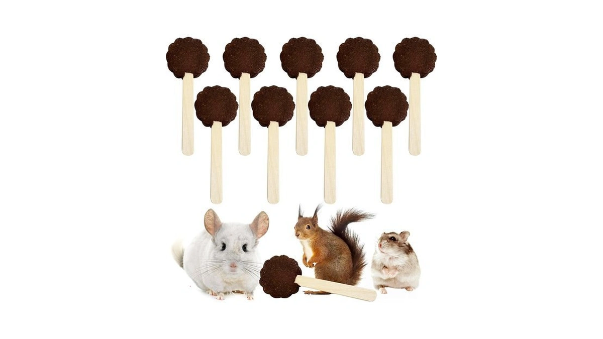 Hamiledyi Hamster Chew Toys For Teeth Squirrels Natural Lollipop Chewing