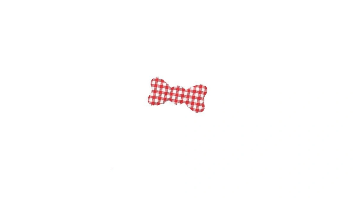 Kamipitasmall-ribbon2.4 X 1.2 Inches (check Red) Typical Dots, Checks, Stripes.no
