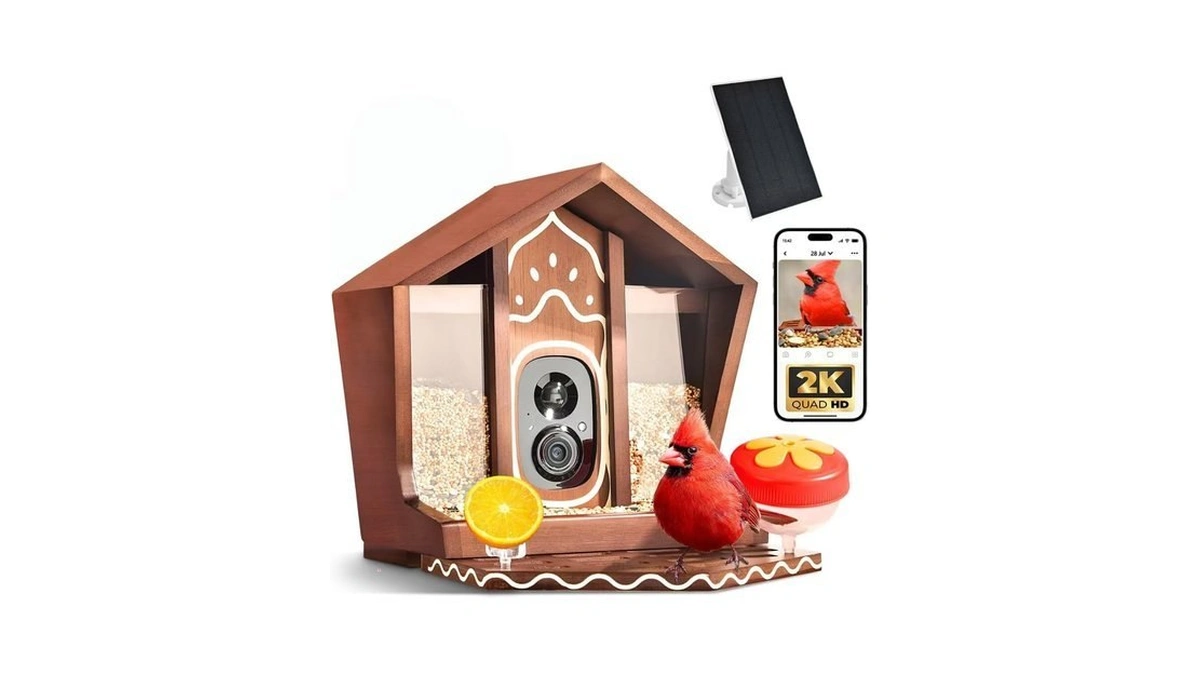 Birdster Smart Bird Feeder With Camera Solar Powered 2k Uhd