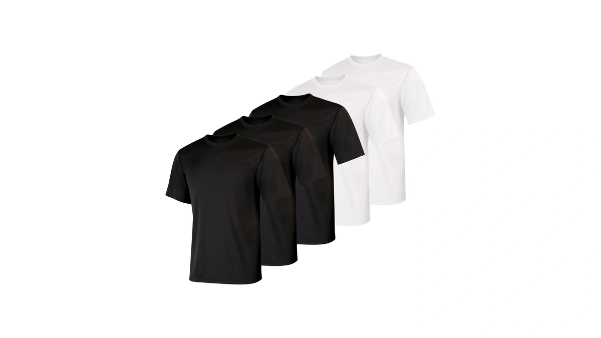 Hanes Men Cool Dri Performance Short Sleeve T...