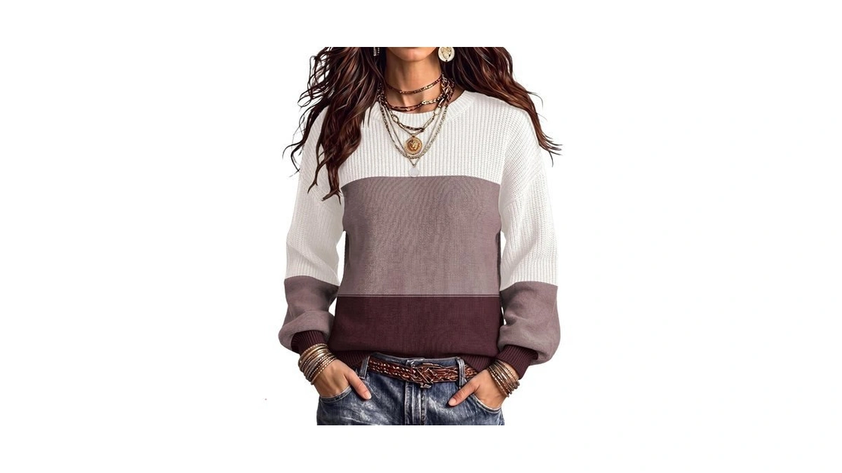 Zeagoo Womens Color Block Sweaters Plus Size Fall 2025 Crew