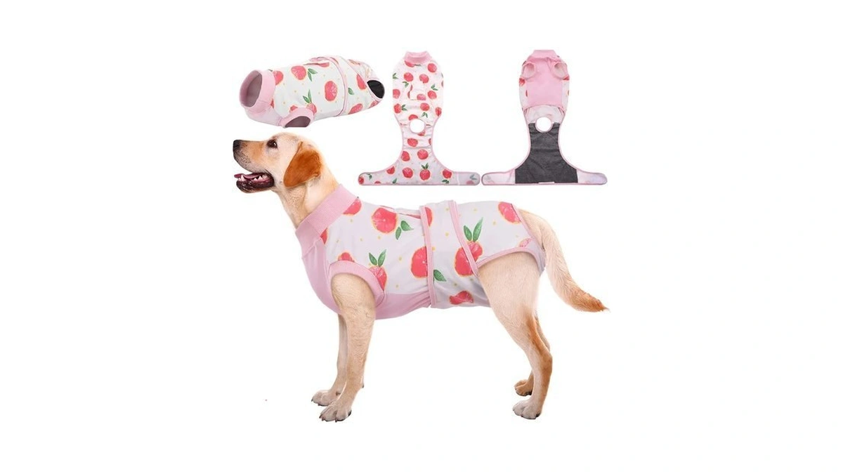 Kuoser Recovery Suit For Dogs Cats, Soft Dog Surgery Suit
