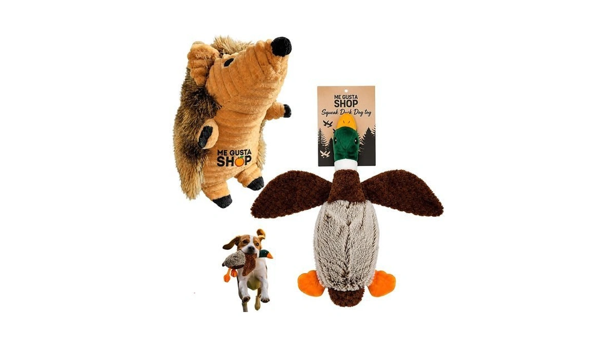 Dog Toy Squeak Toys Hedgehog | Mallard-shaped | Shaped Pet